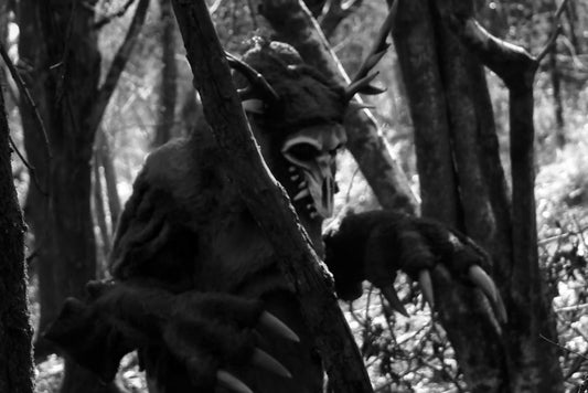 Adventures in The Rogues Forest - Raise The Banners!